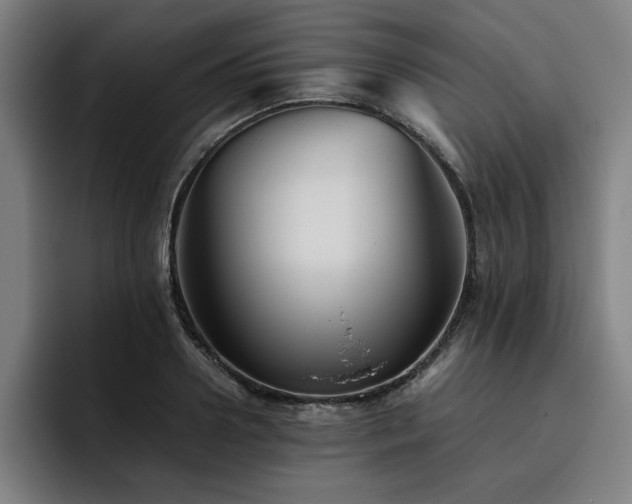 X0000093510938200710121529