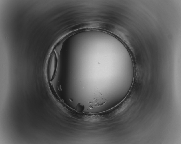 X0000093510939200710121529
