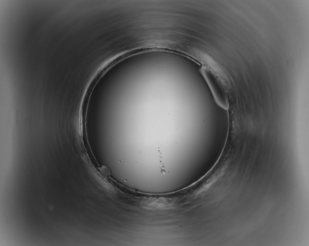 X0000093510940200710121529