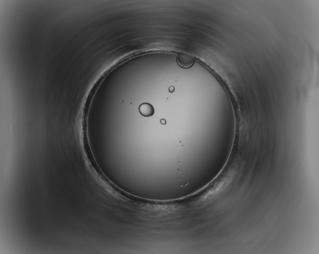 X0000093510941200710121529