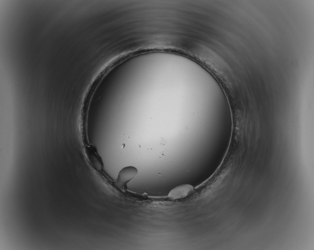X0000093510942200710121529