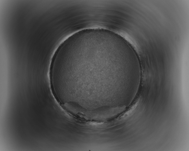 X0000093510943200710121529