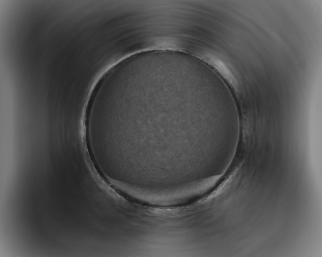 X0000093510944200710121529