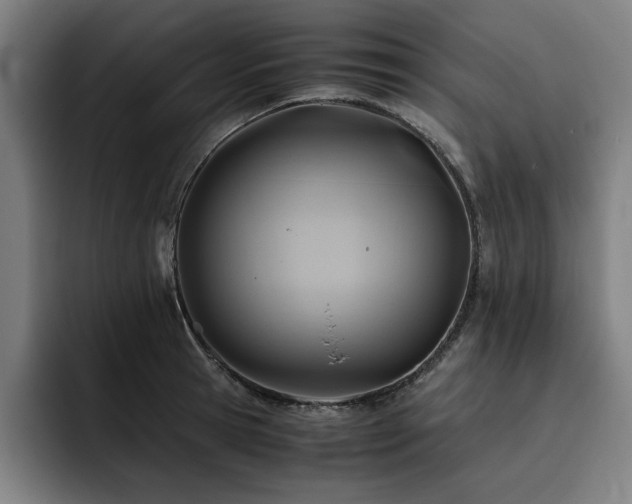 X0000093510945200710121529