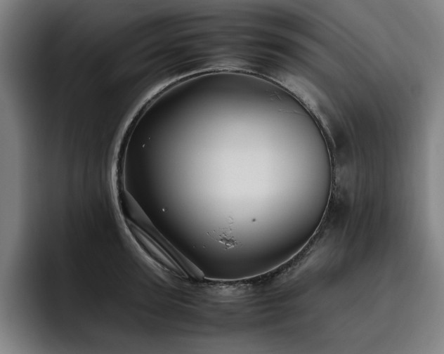 X0000093510947200710121529