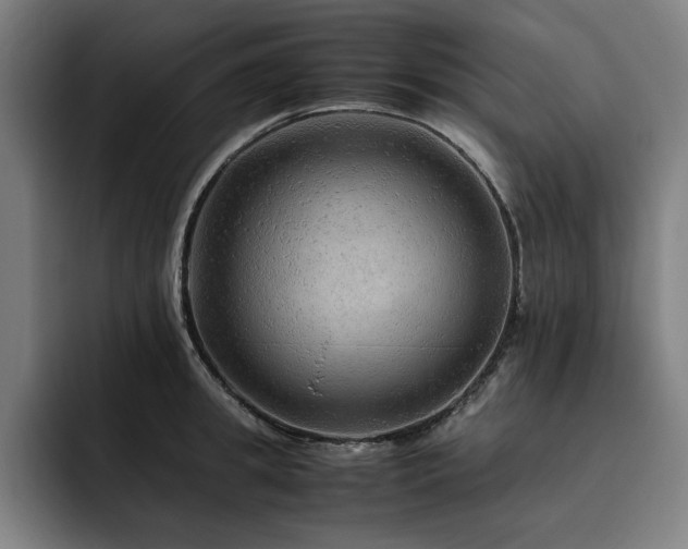 X0000093510949200710121529