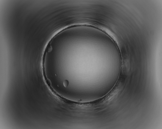 X0000093510951200710121529