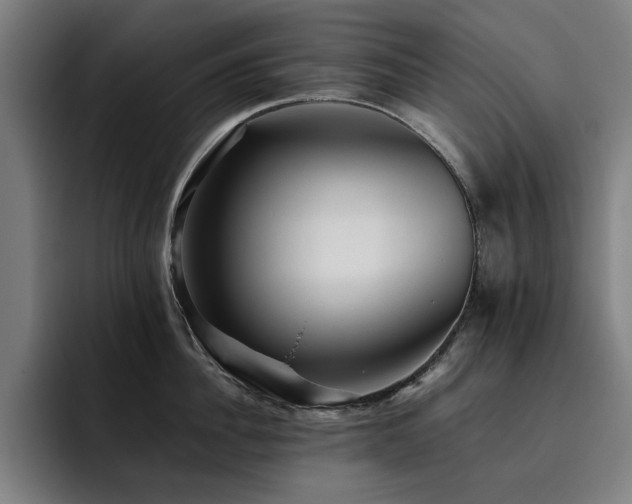 X0000093510956200710121529