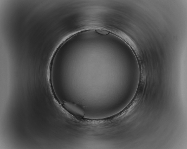 X0000093510958200710121529