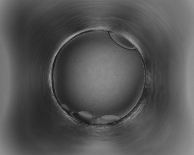 X0000093510959200710121529