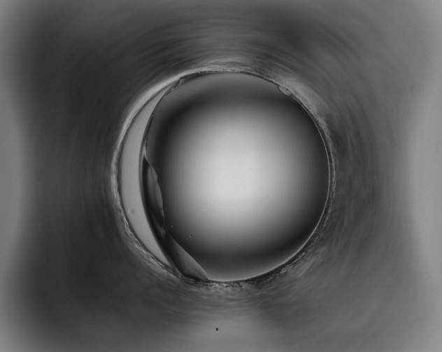 X0000093510960200710121529