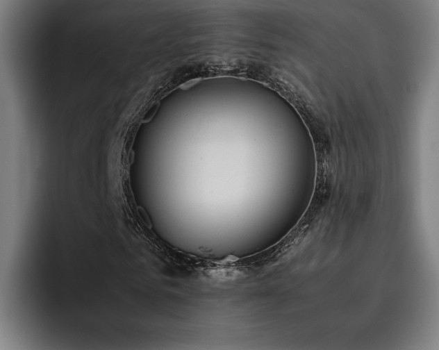 X0000093510961200710121529