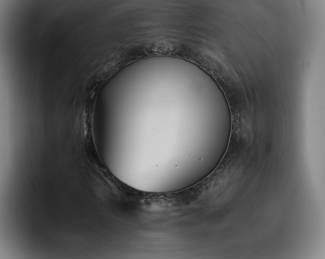 X0000093510962200710121528