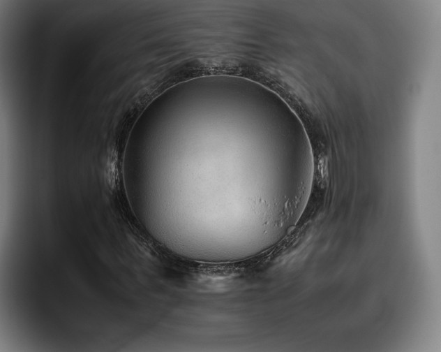 X0000093510963200710121528