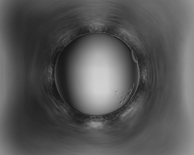 X0000093510964200710121528