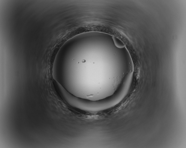 X0000093510965200710121528