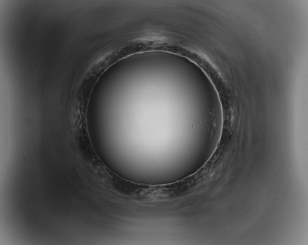 X0000093510967200710121528
