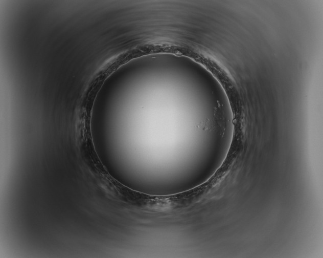 X0000093510968200710121528