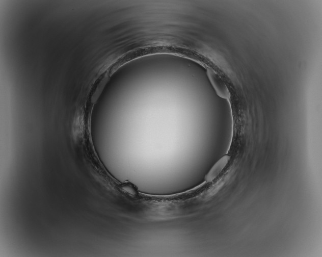 X0000093510969200710121528