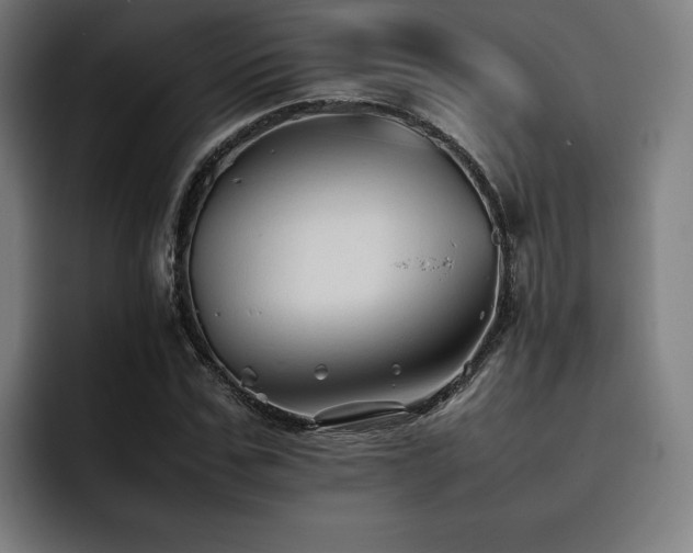 X0000093510971200710121528