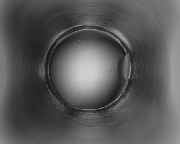 X0000093510972200710121528