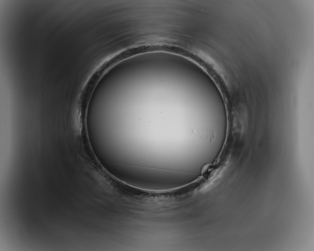 X0000093510973200710121528