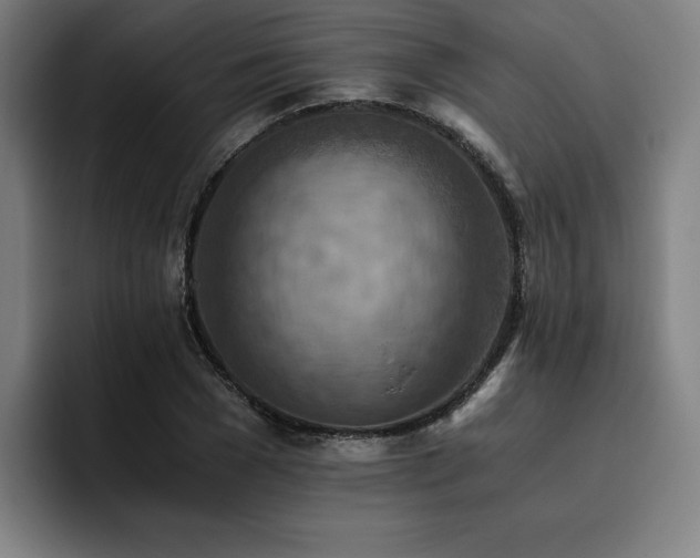 X0000093510977200710121528