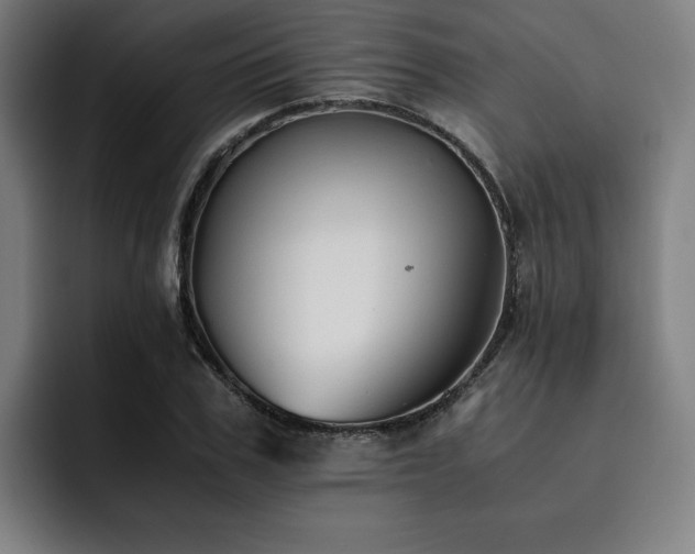 X0000093510979200710121528