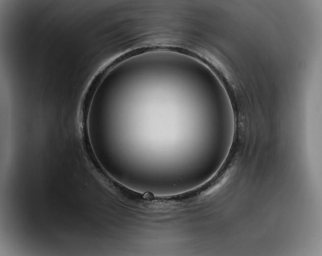 X0000093510981200710121528
