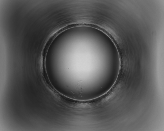 X0000093510982200710121528