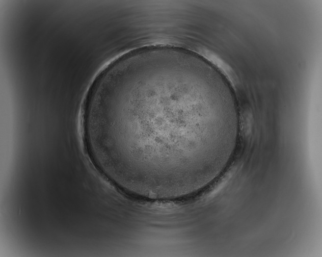 X0000093510983200710121528