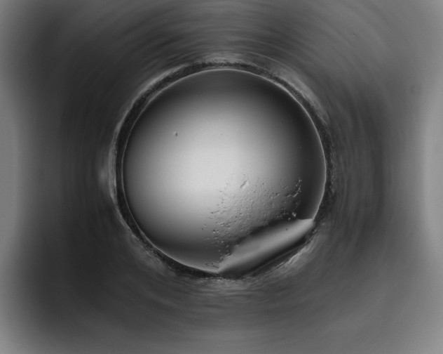 X0000093510984200710121528