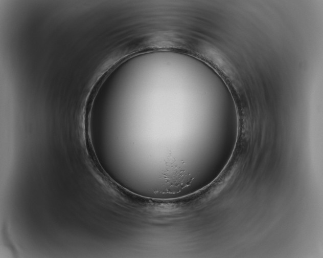 X0000093510986200710121528