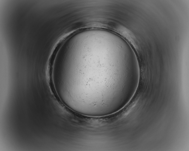 X0000093510987200710121528
