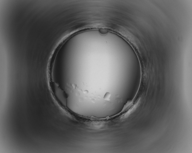 X0000093510989200710121528