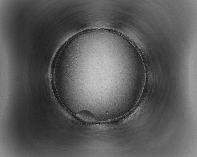 X0000093510990200710121528