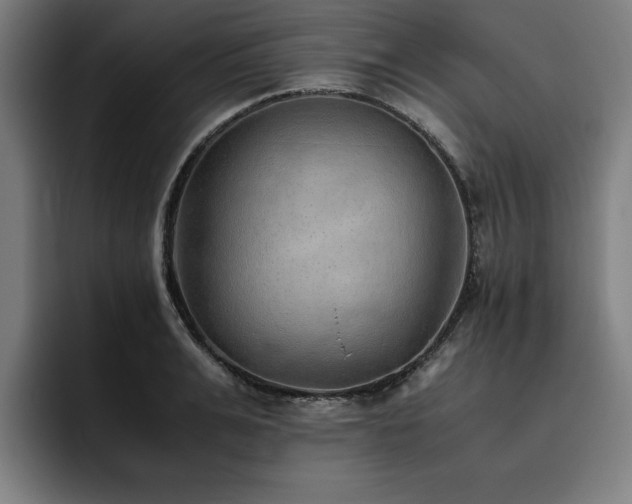 X0000093510991200710121528