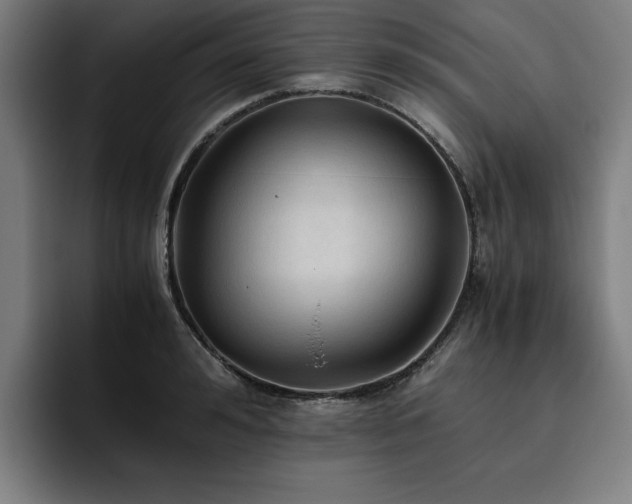 X0000093510992200710121528