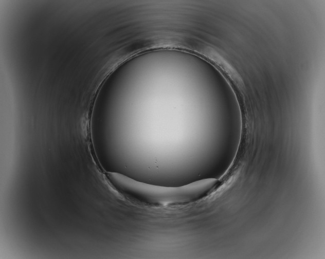 X0000093510993200710121528