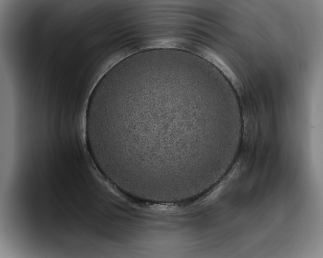 X0000093510994200710121528