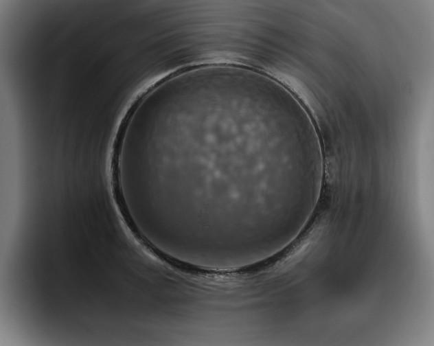 X0000093510995200710121528