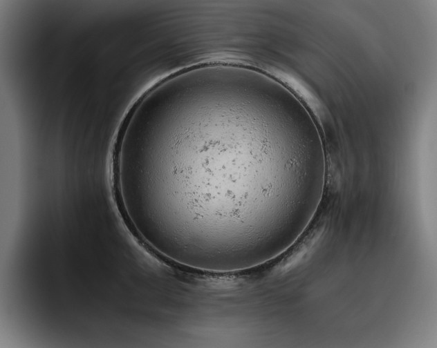 X0000093510999200710121528