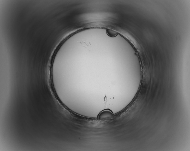 X0000093511000200710121528