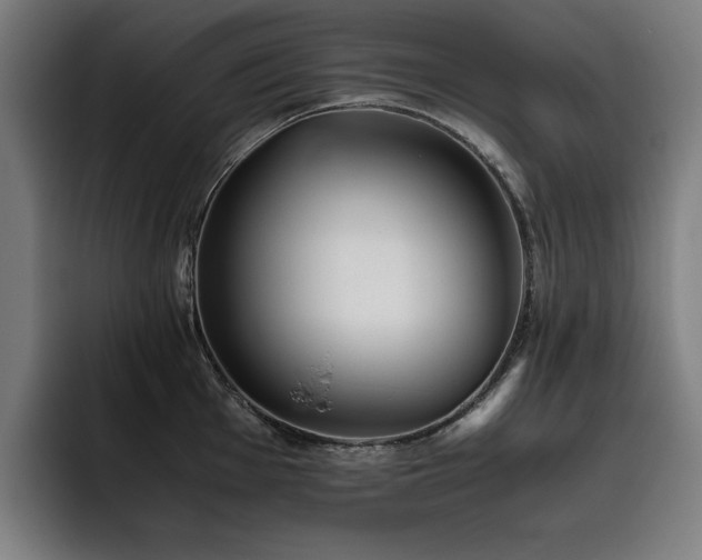 X0000093511001200710121528