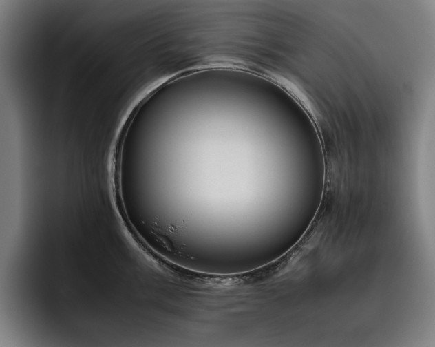 X0000093511003200710121528