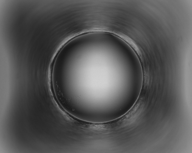 X0000093511006200710121528