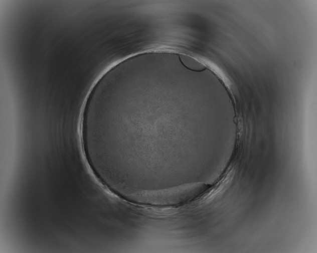 X0000093511007200710121528