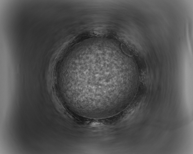 X0000093511009200710121527