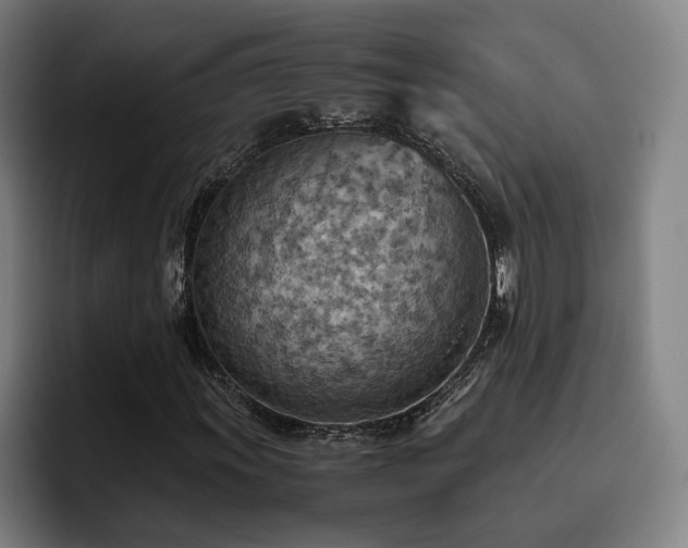 X0000093511011200710121527