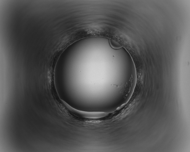 X0000093511012200710121527